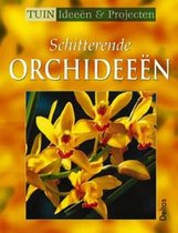 Schitterende Orchideeen