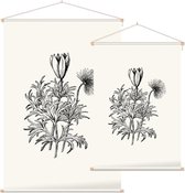 Pulsatilla zwart-wit (Pasque Flower) - Foto op Textielposter - 90 x 135 cm