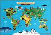 Educatieve poster (Forex) - Topografie wereld land en water - 80 x 60 cm
