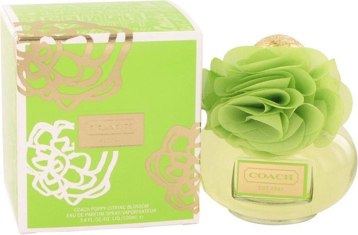 coach poppy green perfume