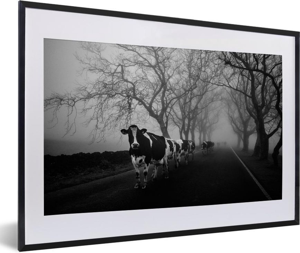 Poster met lijst Koeien in zwart wit Rij met koeien