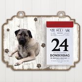 Scheurkalender 2023 Hond: Kangal