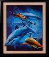 3-d schilderij Haaien