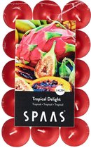 SPAAS 30 Theelichten Geur, ± 4,5 uur - Tropical delight