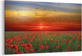 Schilderij - Rode bloemenveld — 90x60 cm