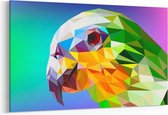Schilderij - Vector papegaai — 100x70 cm