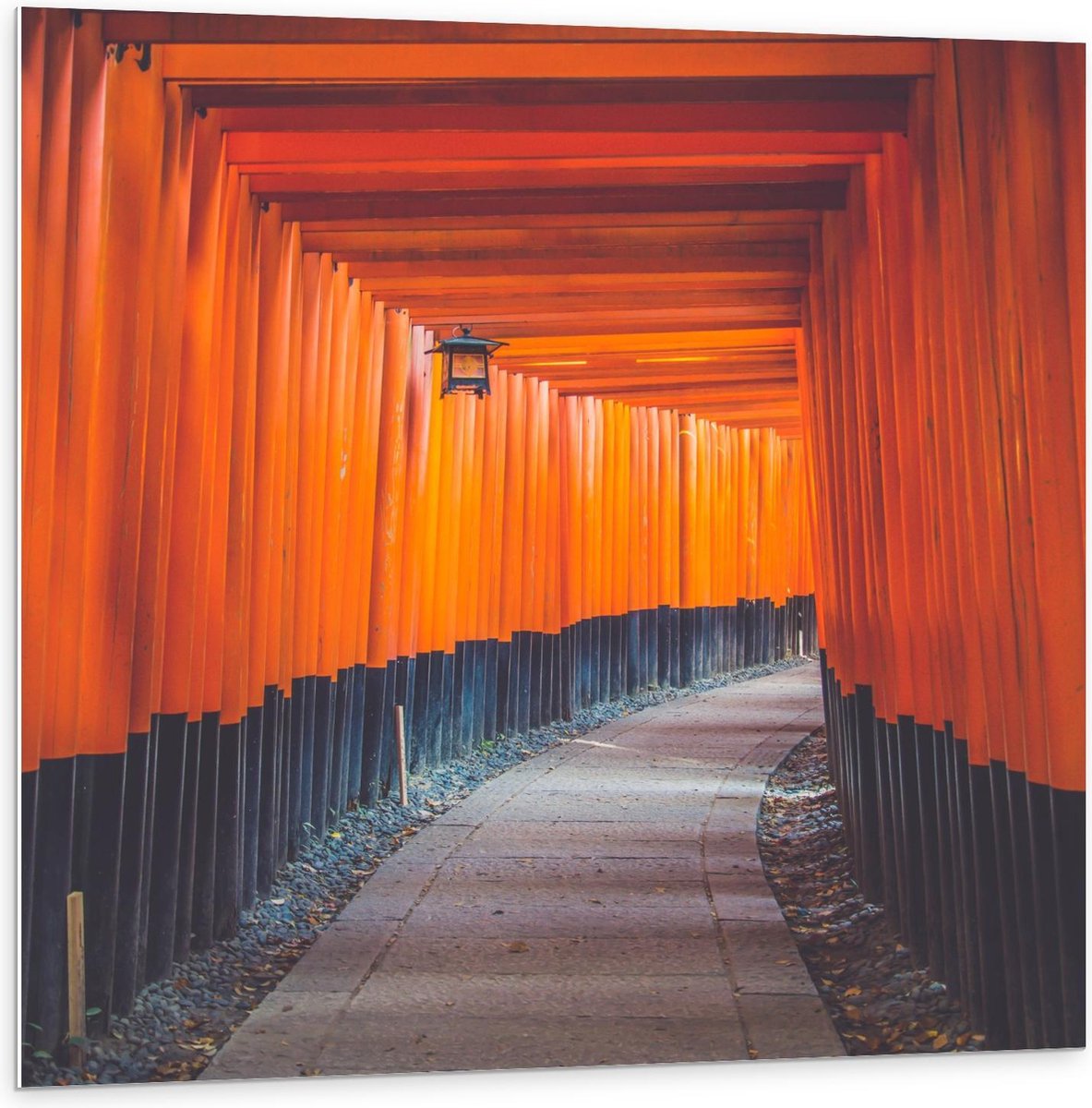Forex - Gang van Oranje Palen - 100x100cm Foto op Forex