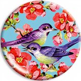 Cedon Klapspiegeltje 7 Cm Aluminium Blauw/roze