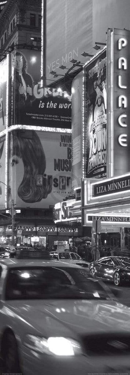 PGM Kunstdruk Alan Copson - Times Sqare at night, New York 33x95cm Divers