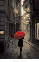 Stefano Corso - Red Rain Kunstdruk 61x96cm