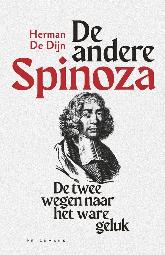 De andere Spinoza - cover