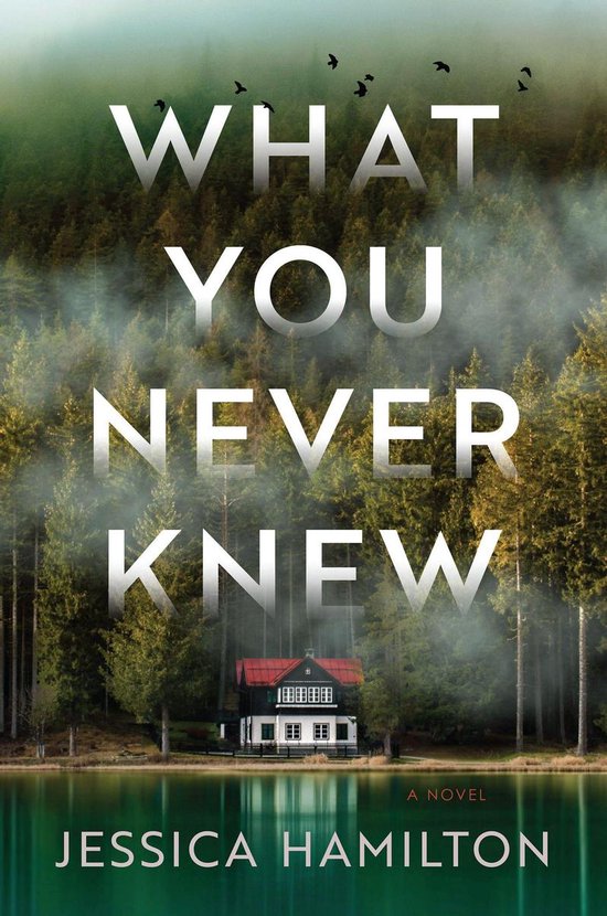 What You Never Knew - cover
