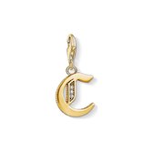 Thomas Sabo Charm 925 sterling zilver sterling zilver One Size Goud 32003094