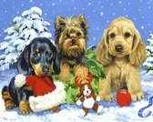 Dielay - Diamond Painting Pakket - Serie Kerstmis - Puppy's in de Sneeuw - 40x30 cm - Complete Set - Volledige Bedekking - Ronde Steentjes