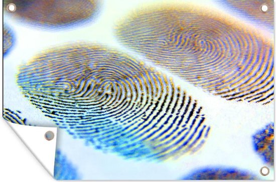 Affiche de jardin empreintes digitales colorées en vrac 60x40 cm - petit - Toile de jardin / Toile d'extérieur / Peintures pour l'extérieur (décoration de jardin)