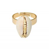 Ring Schelp