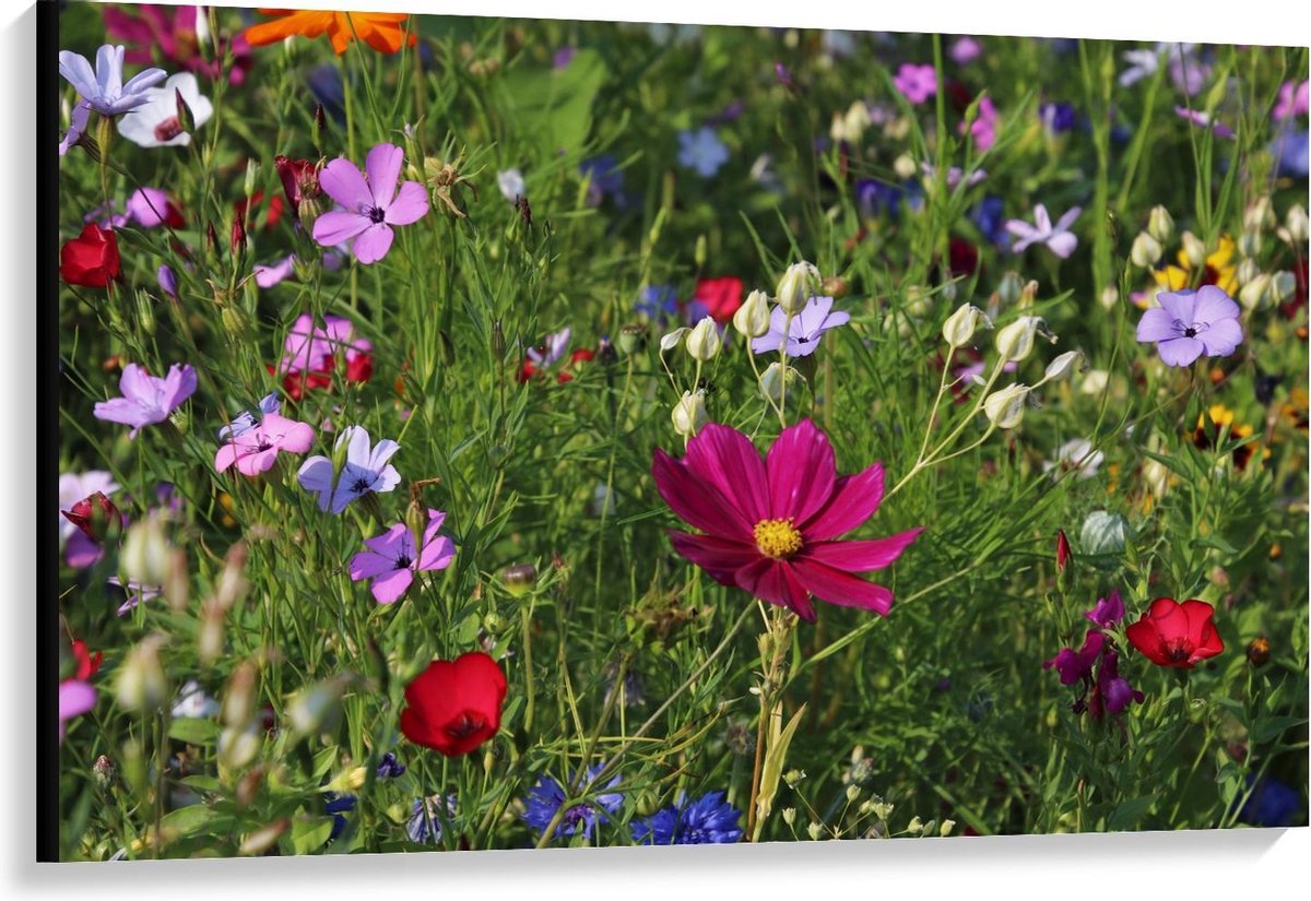 KuijsFotoprint Canvas - Velt met Bloemen in alle Kleuren - 120x80cm Foto op Canvas Schilderij (Wanddecoratie op Canvas) Groen