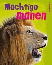 In het wild  -   Machtige manen