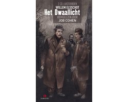 Omslag van Het dwaallicht