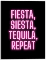 Dibond - Tekst: ''Fiesta, Siesta, Tequila, Repeat'' zwart/roze - 30x40cm Foto op Aluminium (Wanddecoratie van metaal)