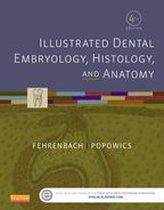 Illustrated Dental Embryology, Histology, and Anatomy - E-Book