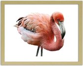 Foto in frame Roze flamingo, 3 maten, Premium print