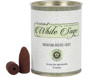 Goloka - White Sage - backflow incense cones