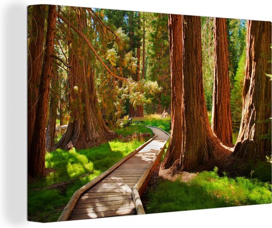 Canvas Schilderij Houten pad door het Nationaal park Sequoia in Californië - 60x40 cm - Wanddecoratie