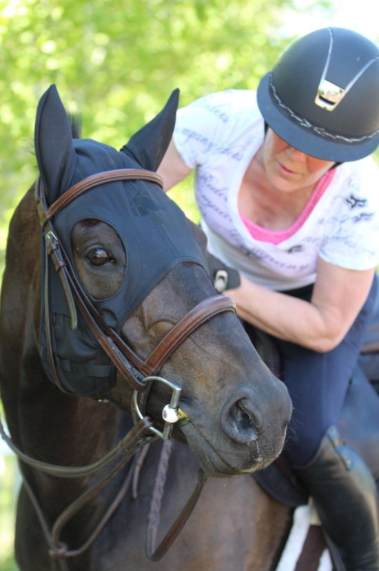 Zwart Fenwick masker op een donker paard, gedragen onder een bruin lederen hoofdstel.