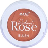 Amuse Radiant Rose Blush - 01 - Dusty Rose - Rouge met spiegel - 3.5 g