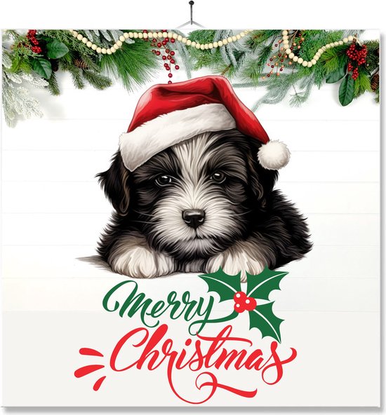 Foute Kersttrui Merry Christmas Dames