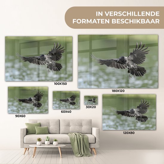 Ailes déployées du corbeau à capuchon Plexiglas 180x120 cm - Tirage photo sur Glas (décoration murale plexiglas) XXL / Groot format!