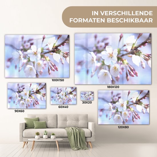 MuchoWow® Peinture sur verre 60x40 cm - Peinture sur verre acrylique - Fleurs - Sakura - Branche - Branches fleuries - Photo sur verre - Peintures
