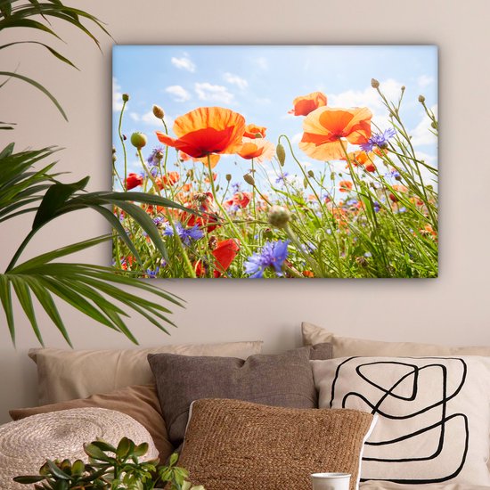 Tableau Fleurs - Coquelicot - Printemps - Nature - Rouge - Blauw - 80x60 cm - Décoration murale