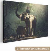 Canvas Schilderij Olifant - Bos - Bomen - Dieren - Trainer - 90x60 cm - Wanddecoratie