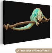 Gros plan sur toile caméléon panthère 2cm 30x20 cm - petit - tirage photo sur toile (Décoration murale salon / chambre)