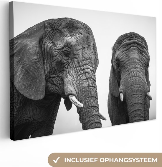 Canvas schilderij 180x120 cm - Wanddecoratie Nieuwsgierige olifanten in zwart-wit - Muurdecoratie woonkamer - Slaapkamer decoratie - Kamer accessoires - Schilderijen