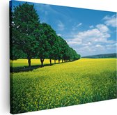 Artaza Canvas Schilderij Weide Landschap Natuur - 120x90 - Groot - Foto Op Canvas - Wanddecoratie Woonkamer