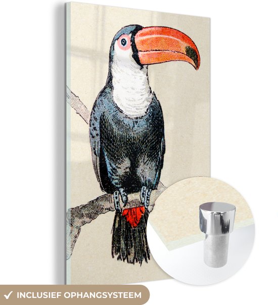 Peinture sur verre - Un dessin coloré d'un toucan - 60x90 cm - Peintures sur Verre Peintures - Photo sur Glas