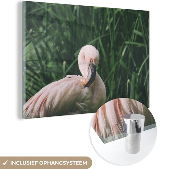 MuchoWow® Glasschilderij 120x80 cm - Schilderij acrylglas - Een flamingo staat tussen het gras - Foto op glas - Schilderijen