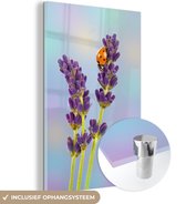 MuchoWow® Glasschilderij 20x30 cm - Schilderij acrylglas - Lieveheersbeestje op lavendelbloem - Foto op glas - Schilderijen