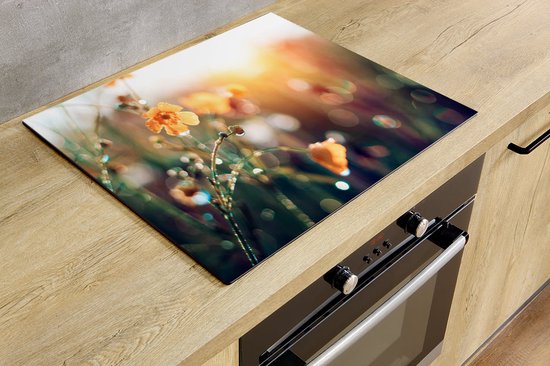 Protection induction - Matin sur le Field - 82x52 cm - Protection induction - Plaque de recouvrement induction - Tapis induction - Antidérapant - Décoration Cuisine - Accessoires de vêtements pour bébé de Cuisine
