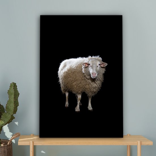 Mouton de Sardine sur toile de fond noir 2cm 60x90 cm - Tirage photo sur Toile (Décoration murale salon / chambre) / Peintures sur toile Animaux sauvages