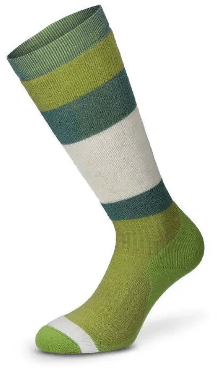 Lenz Meino Winter 1 Lange Sokken Jongens Groen