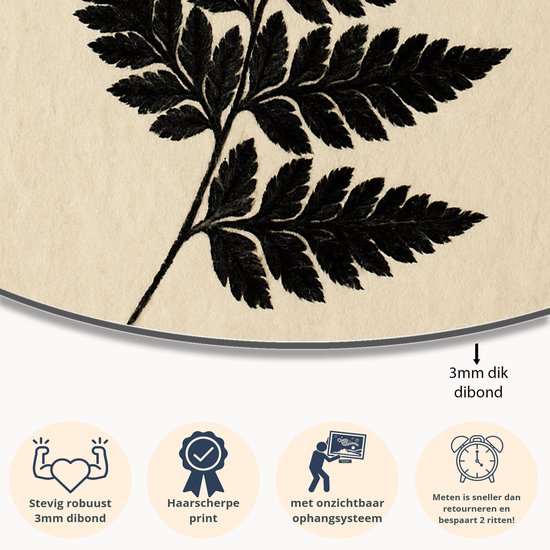 Varenblad silhouet – ronde wanddecoratie – Dibond muurcirkel – 40x40 cm