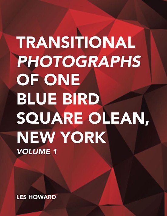 Transitional Photographs of One Blue Bird Square Olean, New  ... - cover