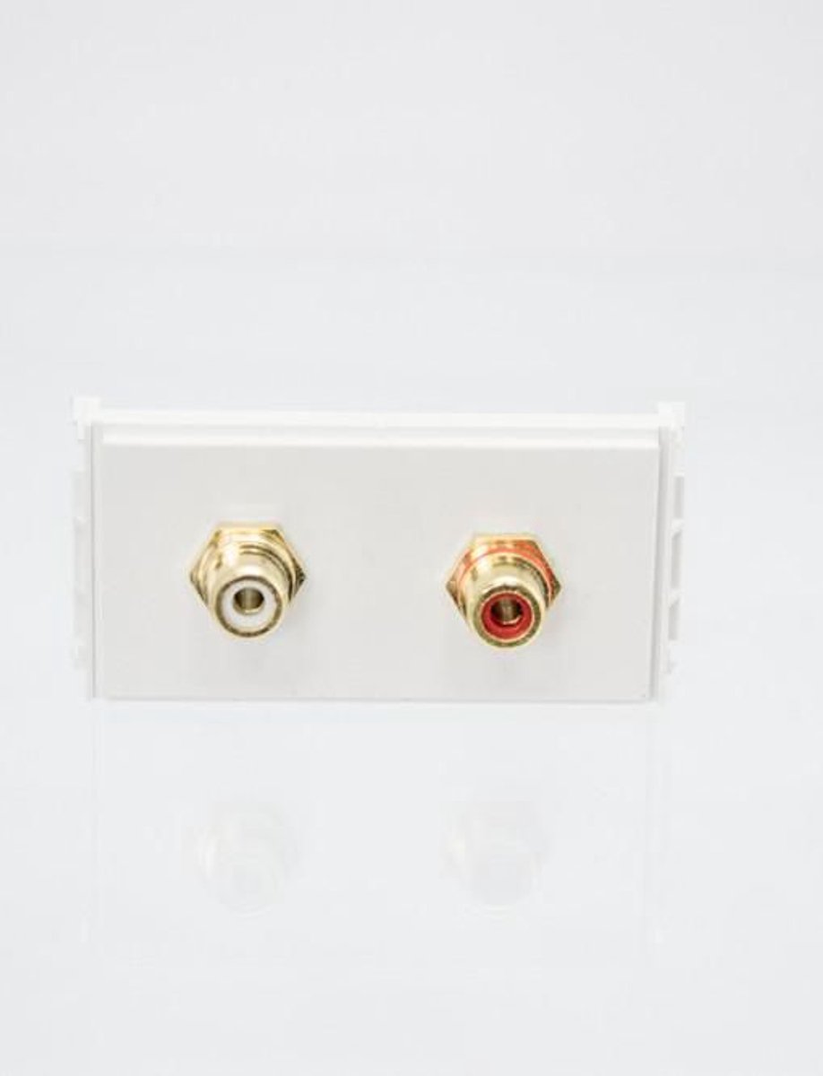 VivoLink WI221285 2 x RCA Steckdose (WI221285)