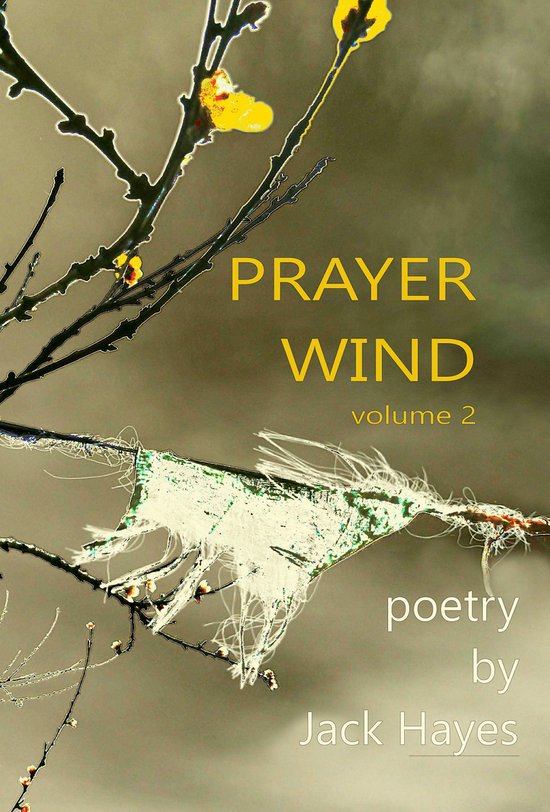 Prayer Wind 2 - Prayer Wind volume 2