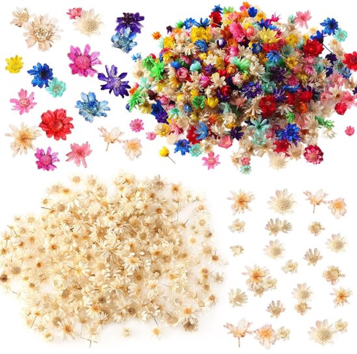 300 Dried Flowers - Miniatuur Bloemen - Natuurlijke en Kleurige Decoraties