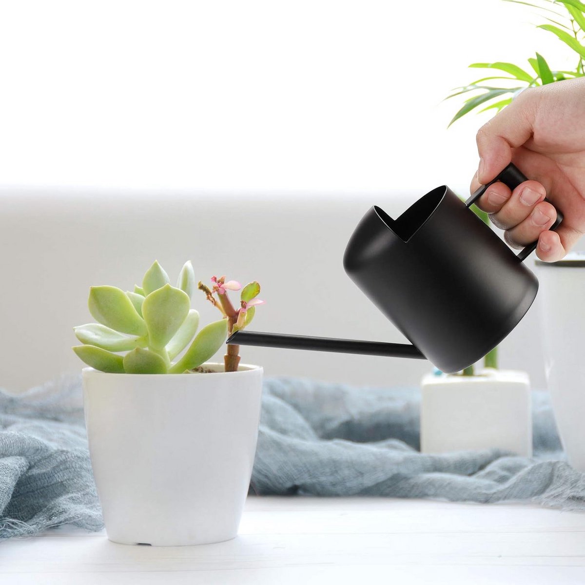 Gieter Pot 300ml - Lange Sprinkling Pot - Mini Gieter van Rvs - Indoor Outdoor - Water geven - Zwart